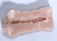 Couleur réaliste de Toy White Pink Tan Black de sexe de chat de poche de 13.2cm*6cm